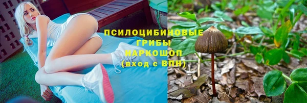 а пвп мука Няндома